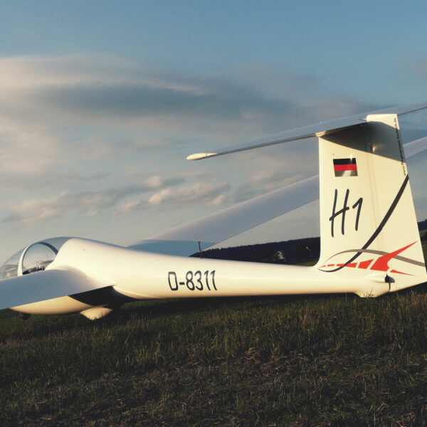 ASK 21 | D-8311